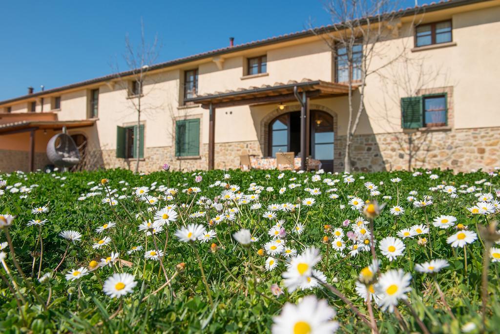 Agriturismo Biologico Diacceroni Villamagna  Exterior photo